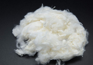 大菠萝福利网站1313本白紡紗短纖